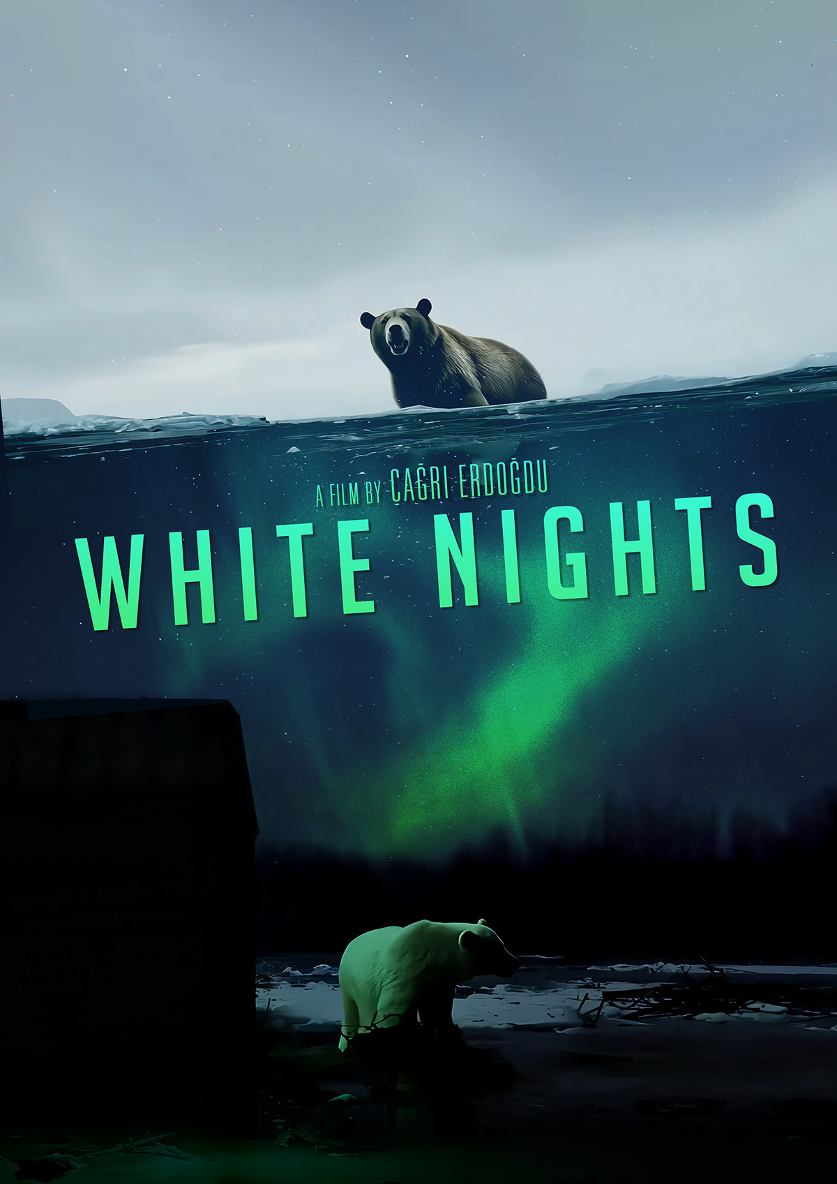 Beyaz Geceler Film Afişi